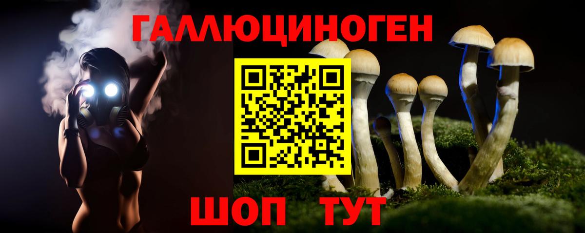 Псилоцибиновые грибы мицелий  Псилоцибиновые грибы Psilocybe  Зима  Вход с VPN 