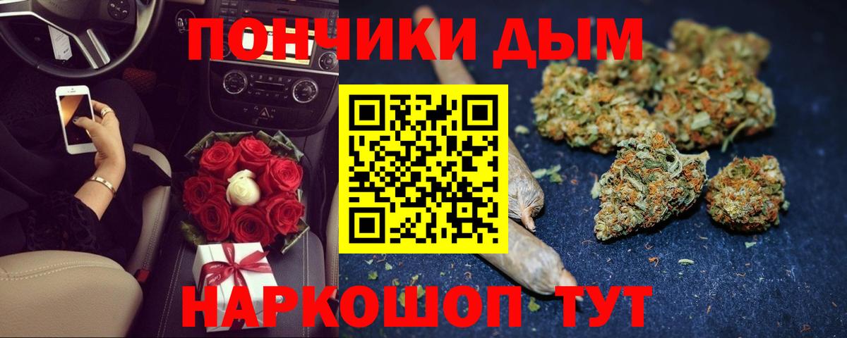 Канабис планчик Зима